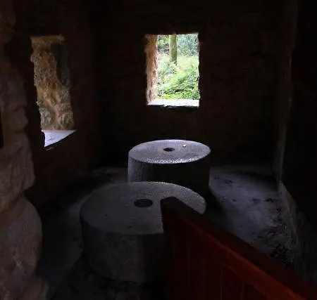 A Casa Da Moucha *